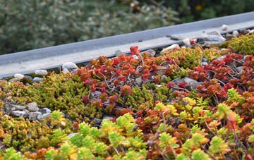 the cost of Danby Wiske green roof installation
