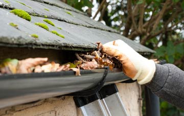 gutter cleaning Danby Wiske, North Yorkshire
