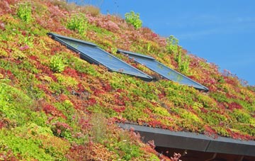 Danby Wiske living roof systems